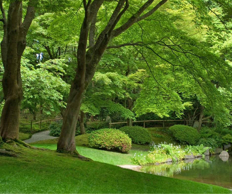 Un paysage qui procure de l'apaisement